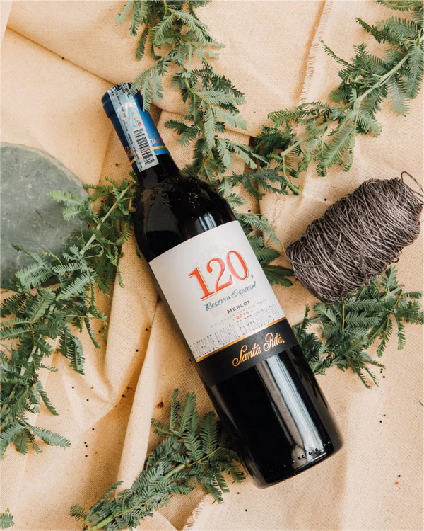 Vino Santa Rita 120 Cabernet - 375 ML